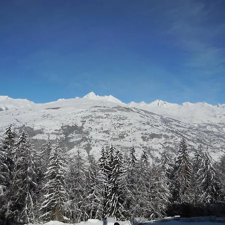 Apartamento Studio divisible 4 pers. à La Plagne, animaux admis - FR-1-353-71