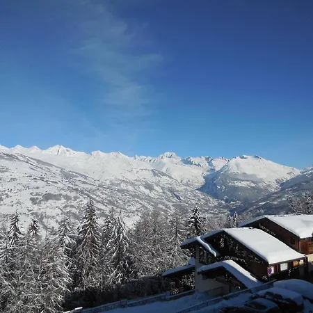 Studio divisible 4 pers. à La Plagne, animaux admis - FR-1-353-71 Apartamento *